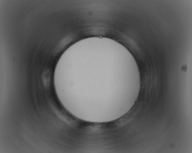 X0000092090120200710101109