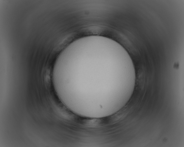 X0000092090122200710101109