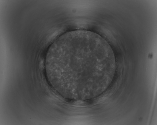X0000092090123200710101109