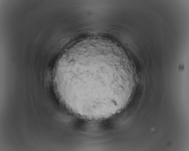 X0000092090127200710101109