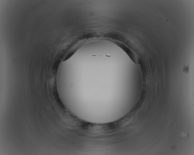 X0000092090129200710101109