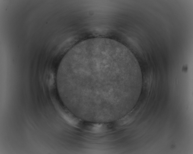 X0000092090130200710101109