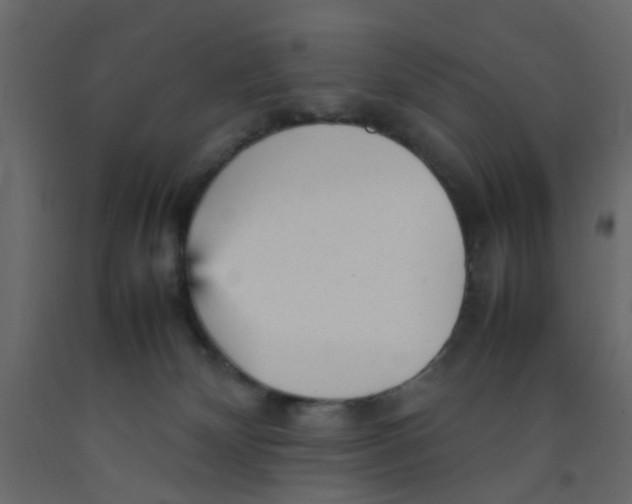 X0000092090132200710101109