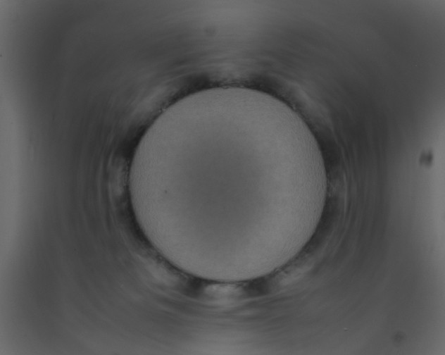 X0000092090133200710101109