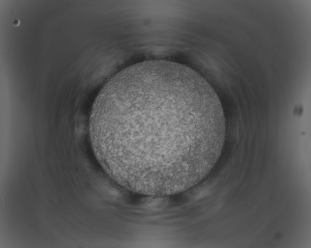 X0000092090135200710101109