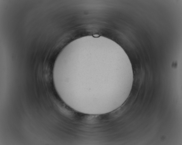 X0000092090136200710101109
