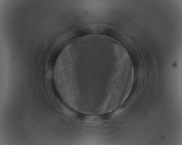 X0000092090137200710101109