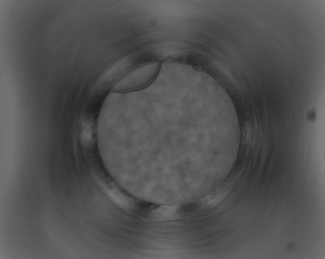 X0000092090138200710101109