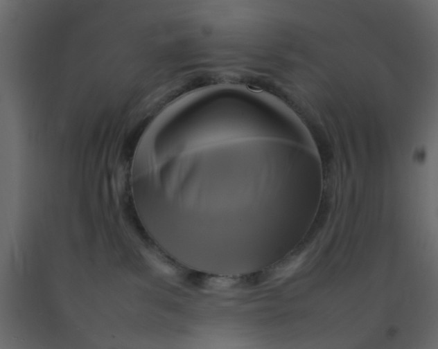 X0000092090139200710101109