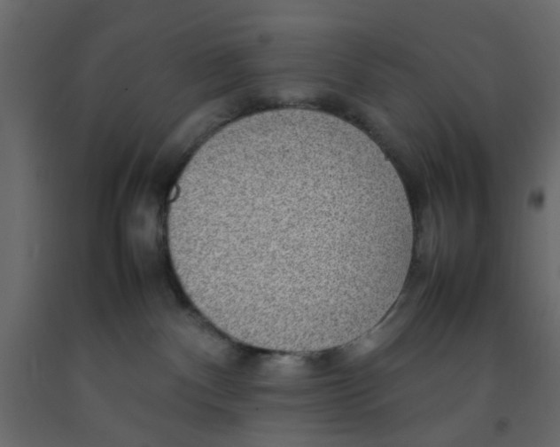 X0000092090140200710101109