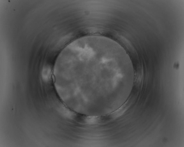 X0000092090142200710101109