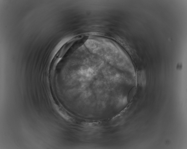 X0000092090147200710101108