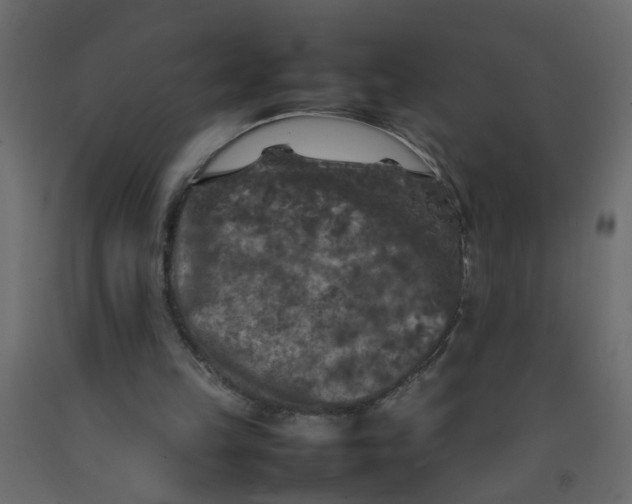 X0000092090149200710101108
