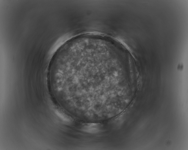 X0000092090151200710101108