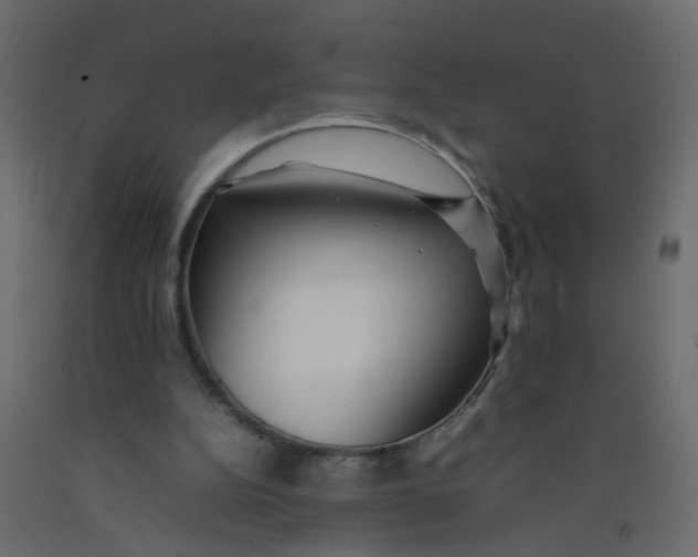 X0000092090152200710101108