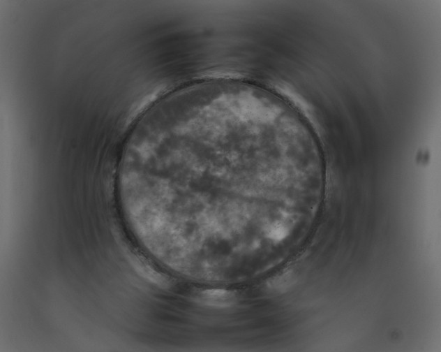 X0000092090153200710101108