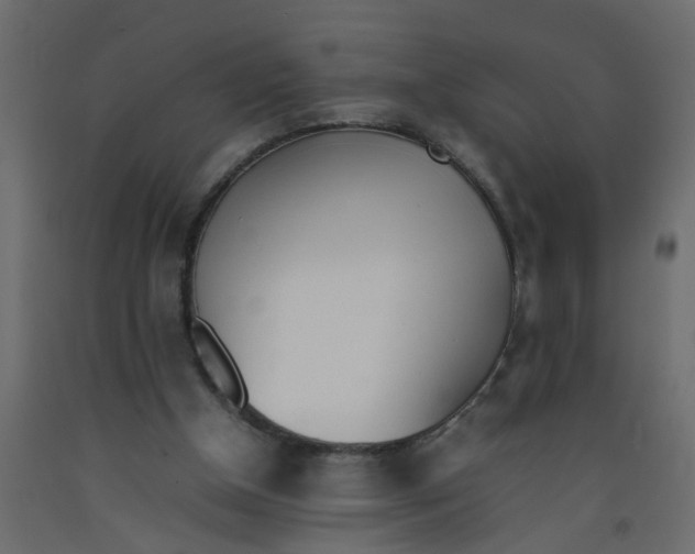 X0000092090154200710101108