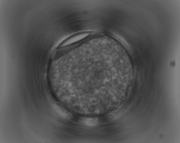 X0000092090155200710101108