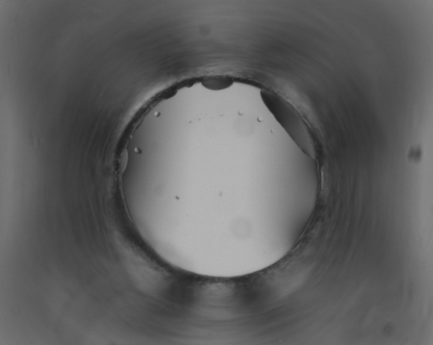 X0000092090156200710101108