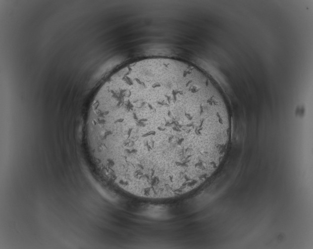 X0000092090157200710101108