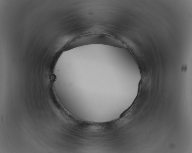 X0000092090158200710101108
