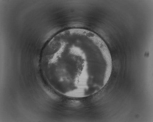 X0000092090159200710101108