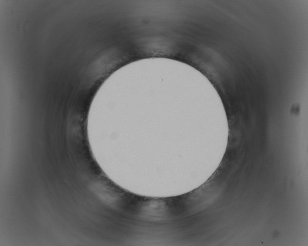 X0000092090162200710101108