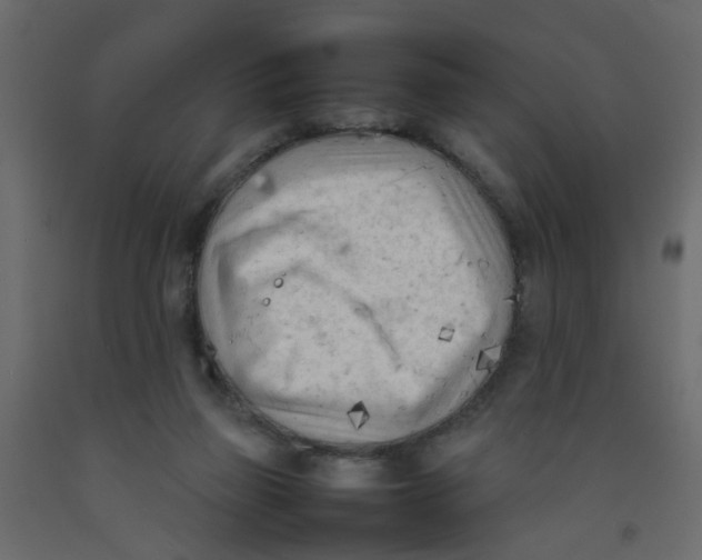 X0000092090165200710101108