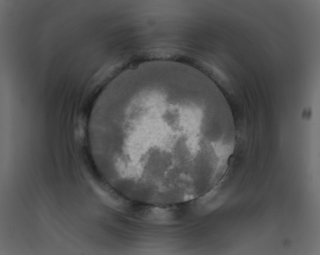 X0000092090166200710101108