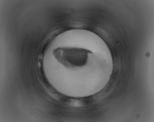 X0000092090167200710101108