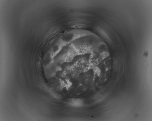 X0000092090169200710101108