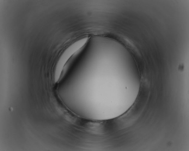 X0000092090170200710101109