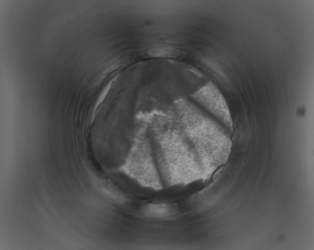 X0000092090171200710101109