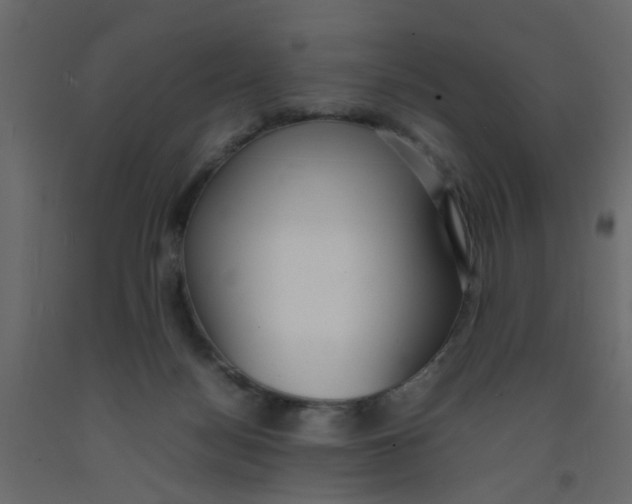 X0000092090172200710101109