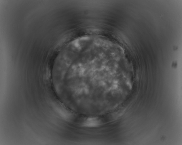 X0000092090173200710101109
