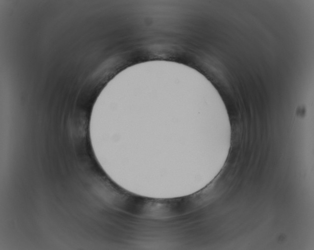 X0000092090174200710101109