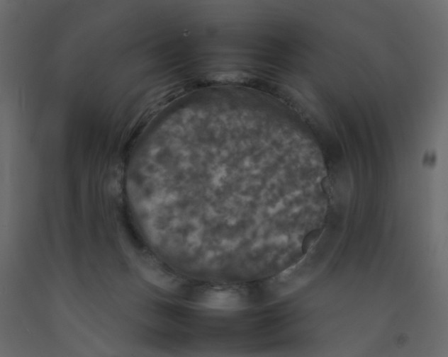 X0000092090175200710101109