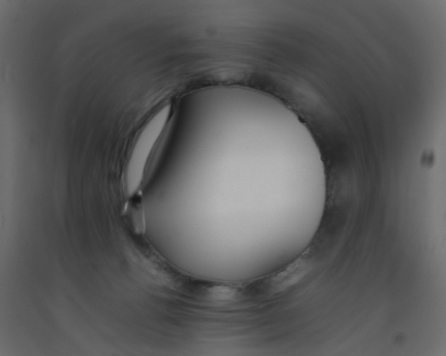 X0000092090176200710101109