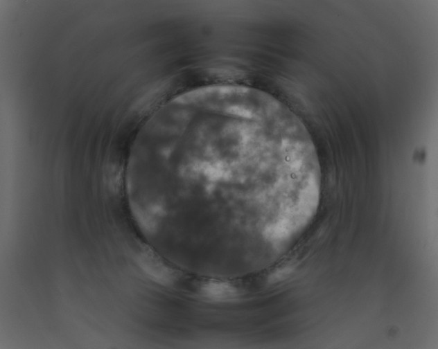 X0000092090177200710101109