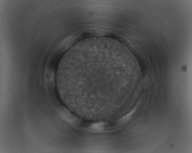 X0000092090178200710101109