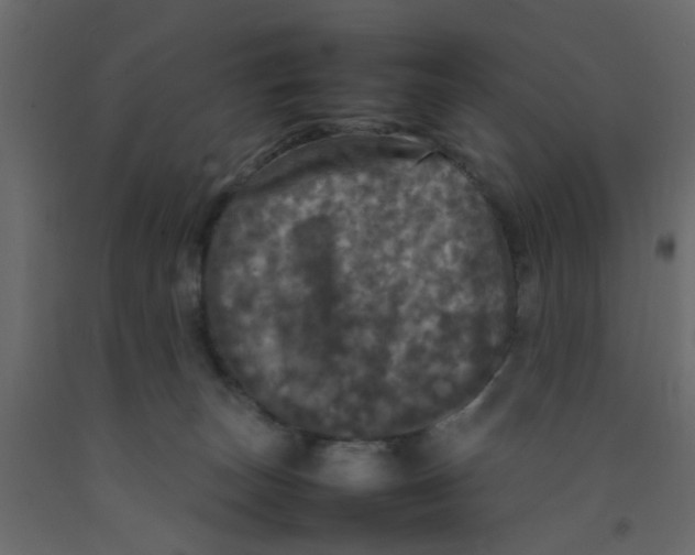 X0000092090179200710101109