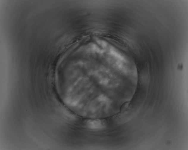 X0000092090181200710101109