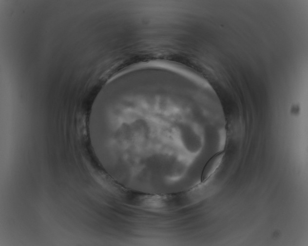 X0000092090182200710101109