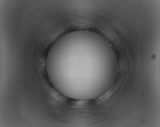 X0000092090184200710101109