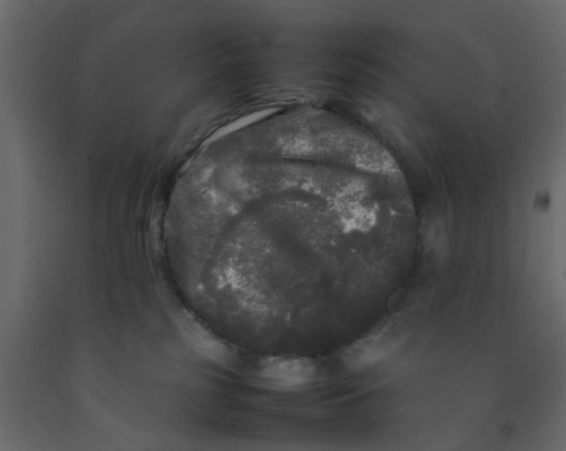 X0000092090185200710101109