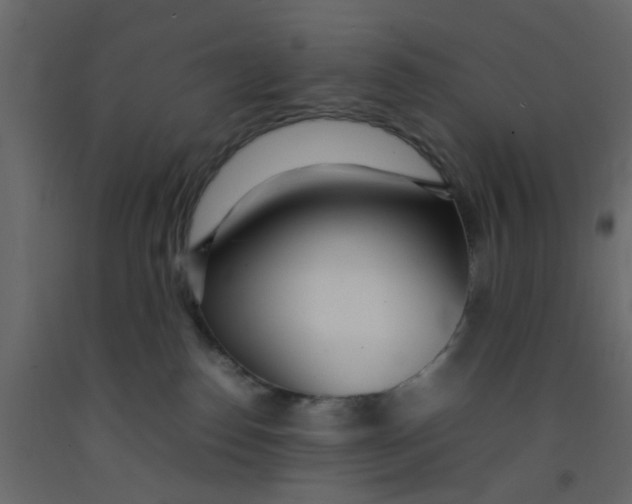 X0000092090186200710101109