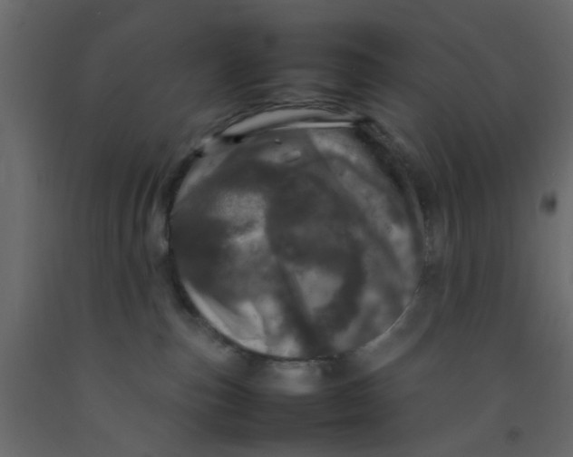 X0000092090187200710101109
