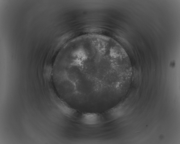 X0000092090189200710101109
