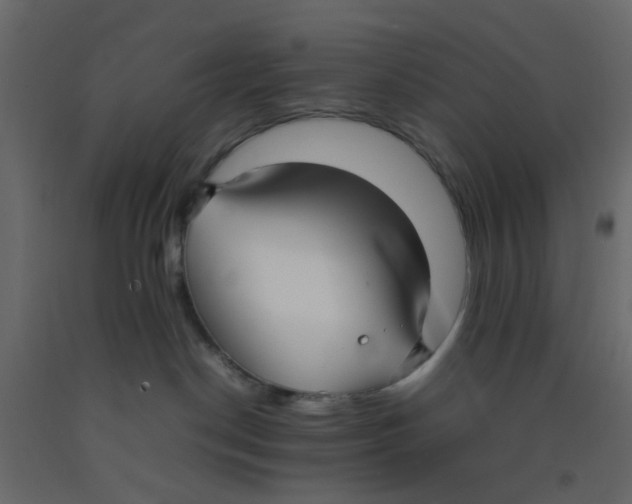X0000092090190200710101109