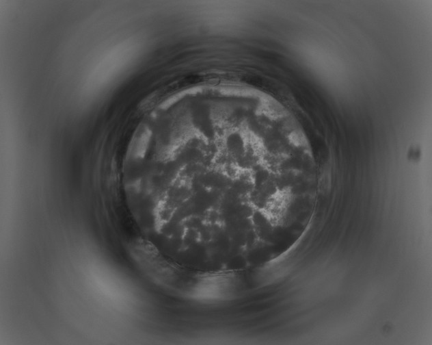 X0000092090191200710101109